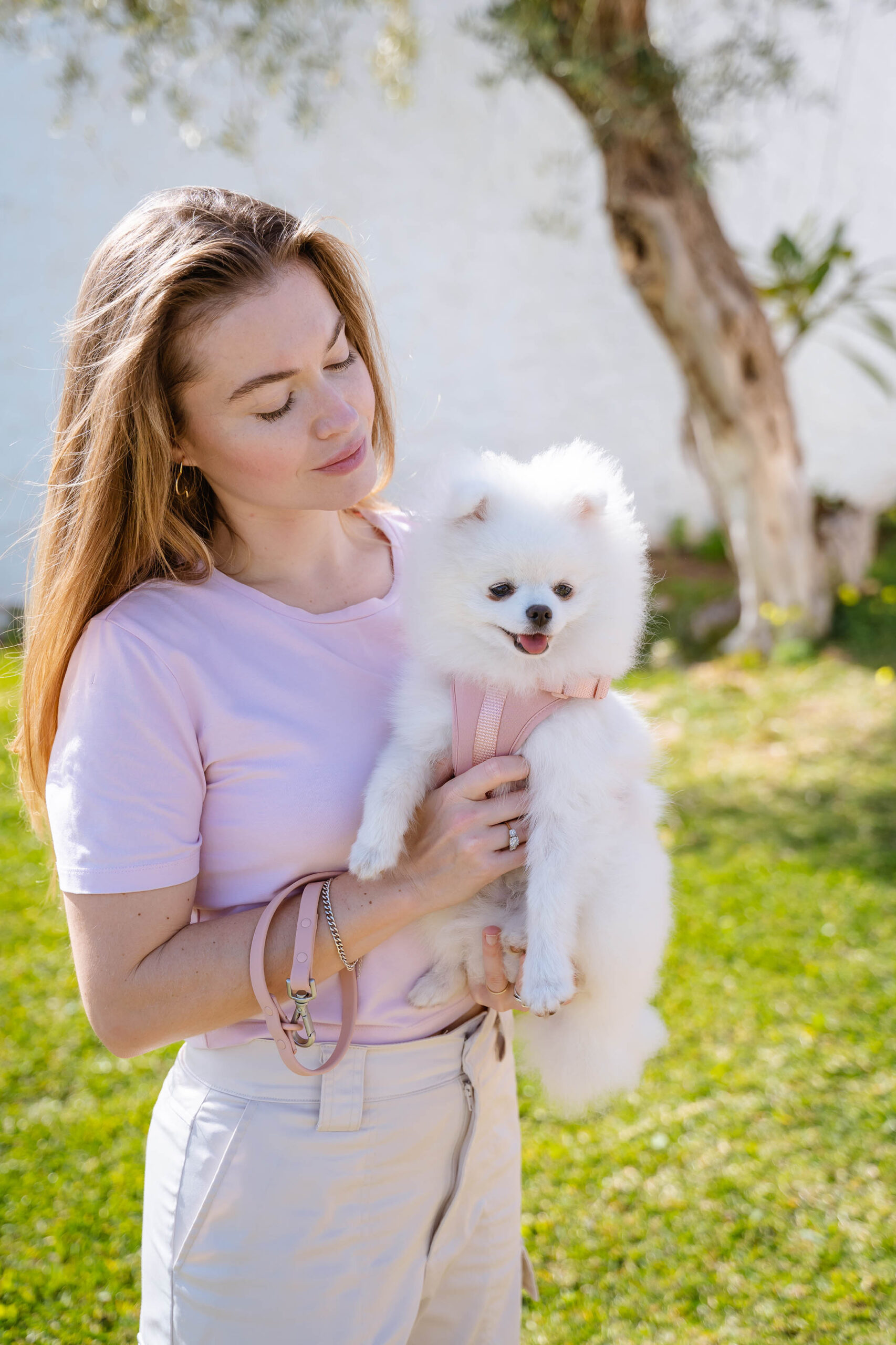 Dog Photographer Malaga Unique Pet Photography dog-photographer-malaga-unique-pet-photography